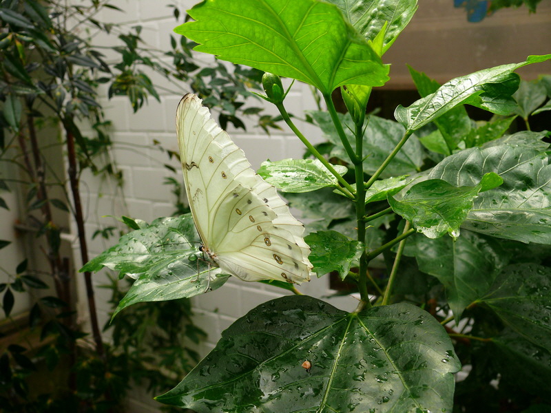 P3210513_Bildgr��e �ndern