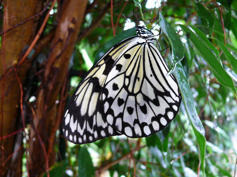 P3210518_Bildgr��e �ndern