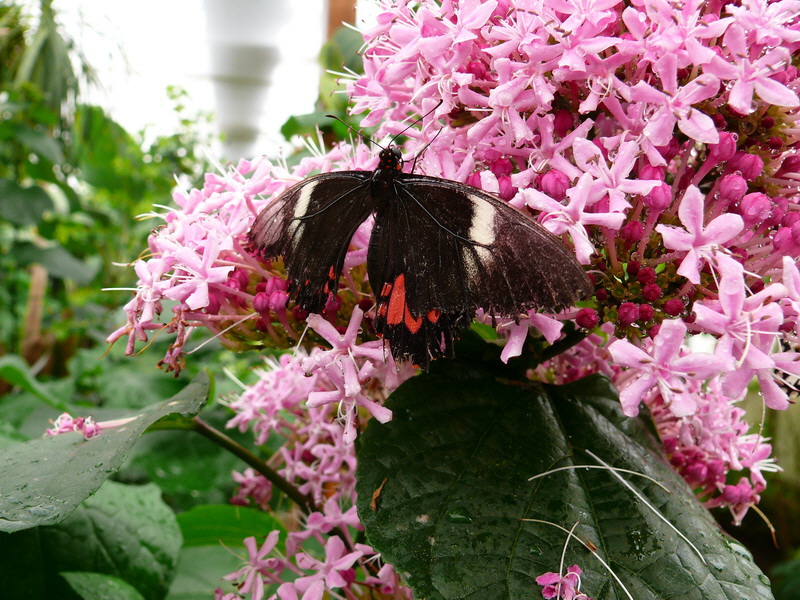 P3210520_Bildgr��e �ndern