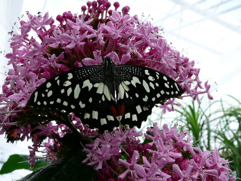 P3210523_Bildgr��e �ndern