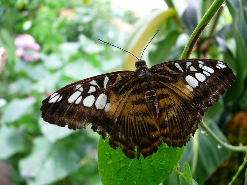 P3210535_Bildgr��e �ndern