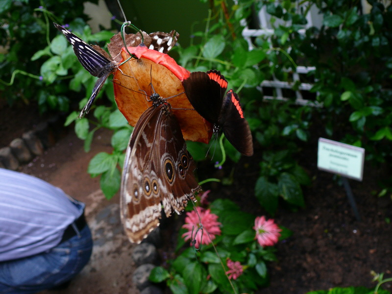 P3210538_Bildgr��e �ndern