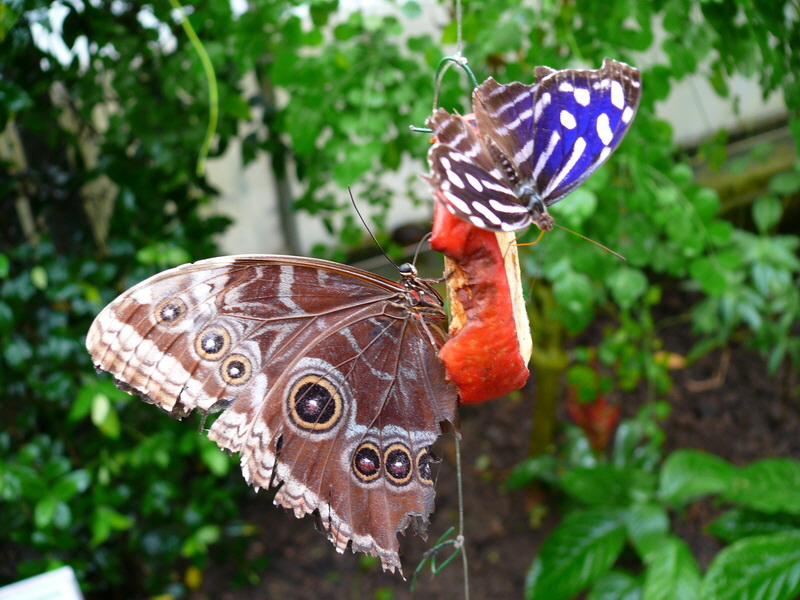 P3210561_Bildgr��e �ndern