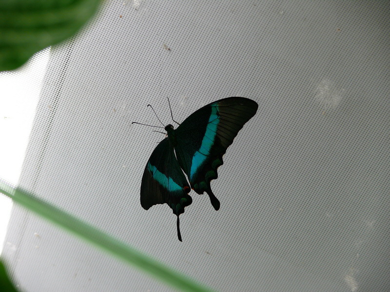 P3210574_Bildgr��e �ndern