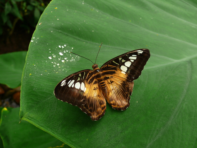 P3210577_Bildgr��e �ndern