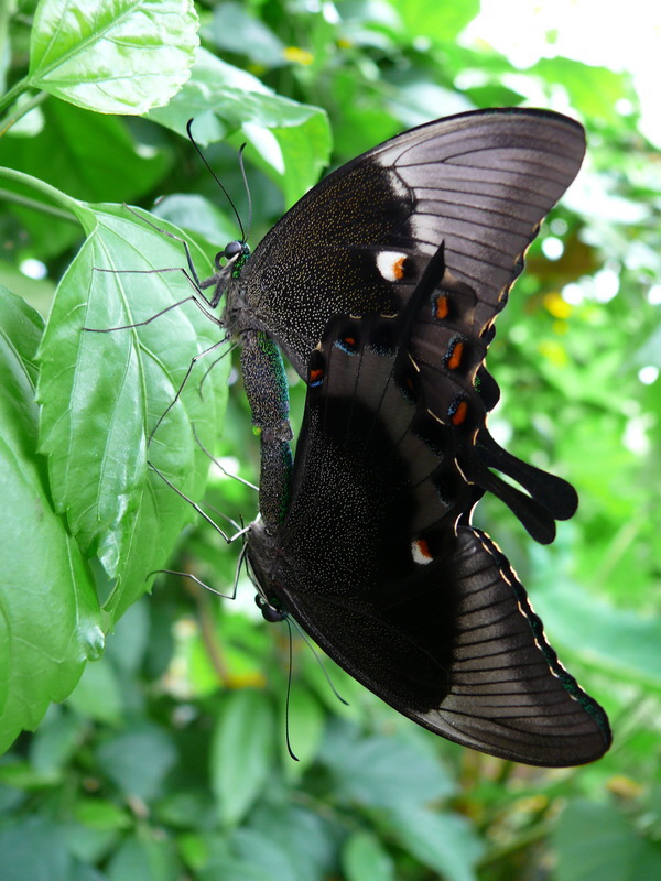 P3210579_Bildgr��e �ndern