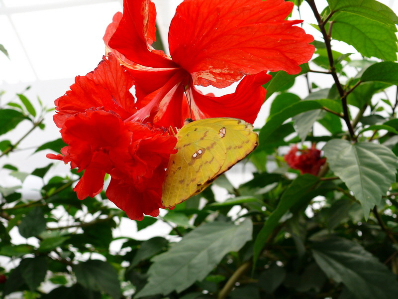 P3210583_Bildgr��e �ndern