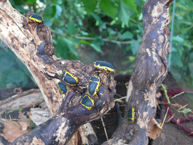 P3210585_Bildgr��e �ndern