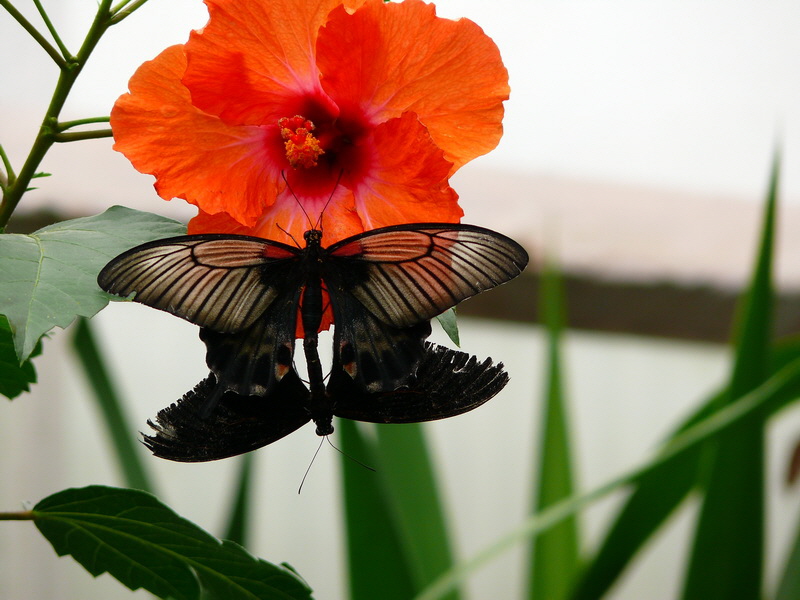 P3210615_Bildgr��e �ndern