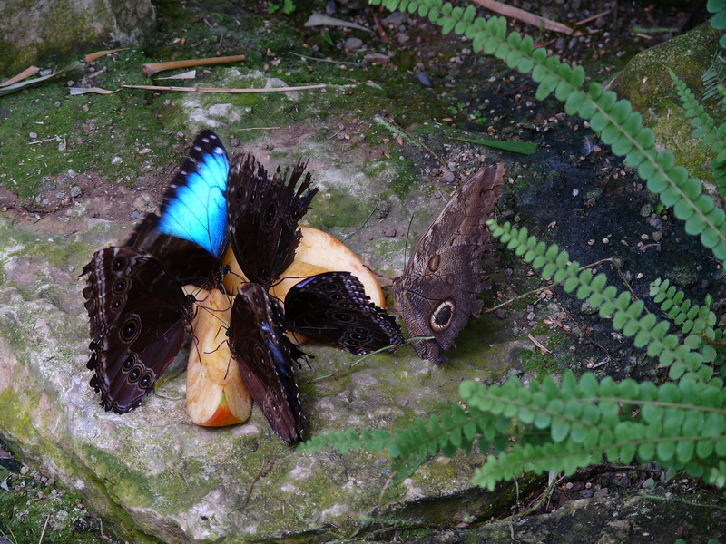 P3210645_Bildgr��e �ndern