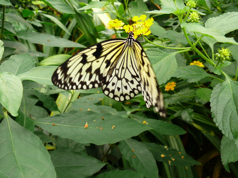 P3210663_Bildgr��e �ndern