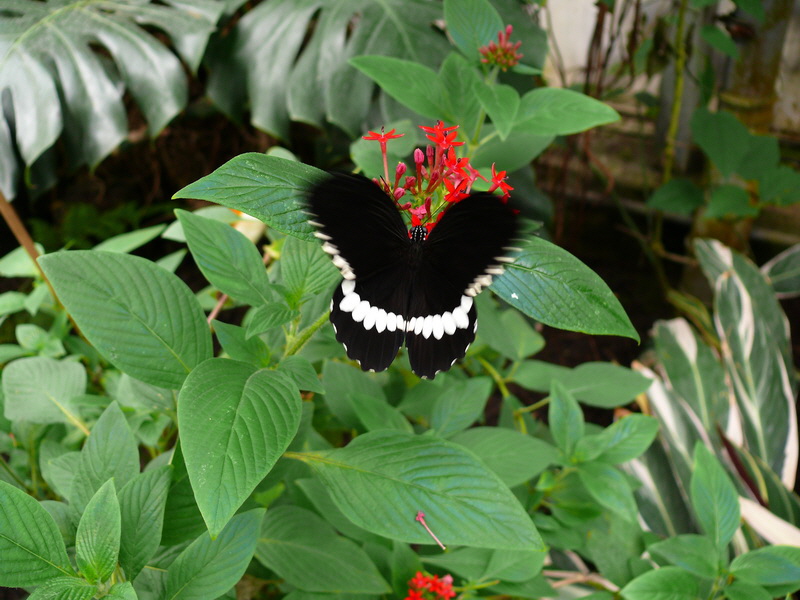 P3210686_Bildgr��e �ndern