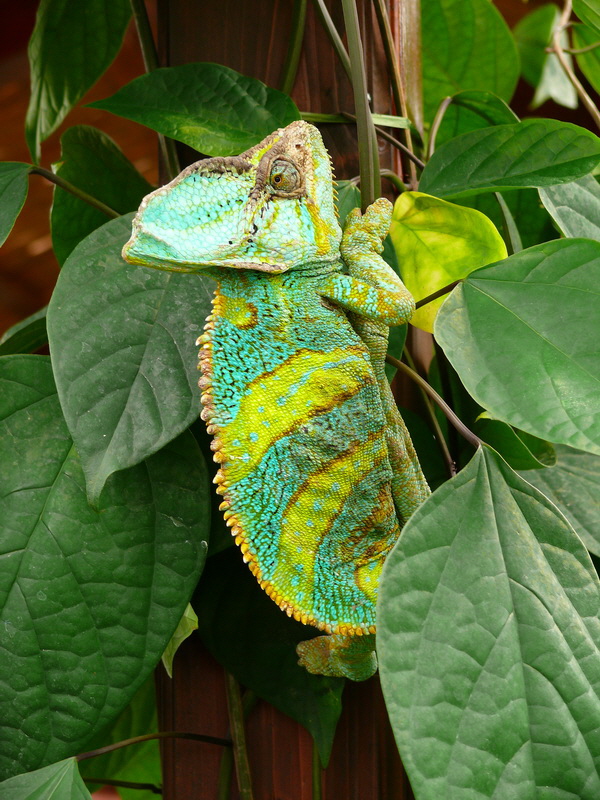 P3210691_Bildgr��e �ndern