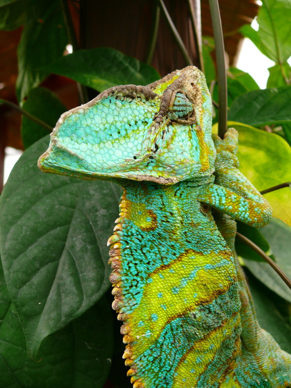 P3210697_Bildgr��e �ndern