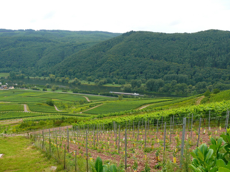 P3210742_Bildgr��e �ndern