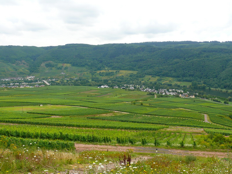 P3210806_Bildgr��e �ndern