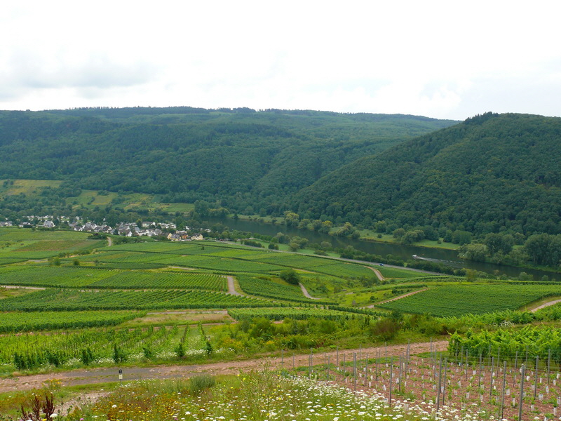 P3210814_Bildgr��e �ndern