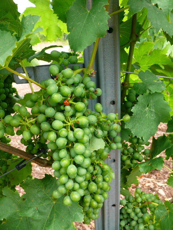 P3210833_Bildgr��e �ndern