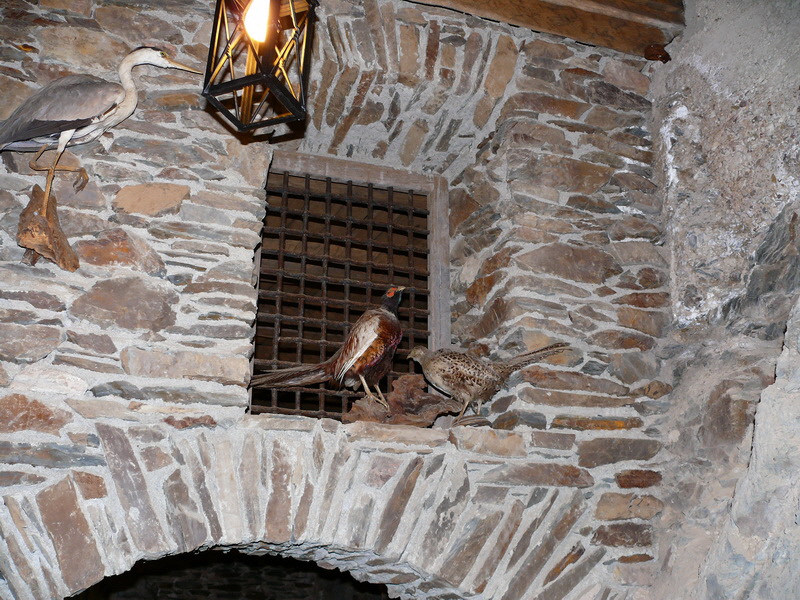 P3210891_Bildgr��e �ndern