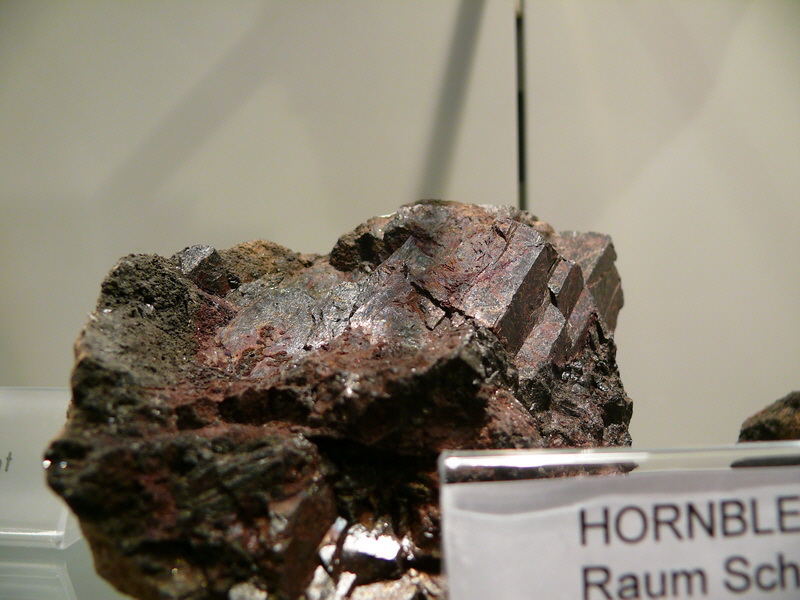 P3220050_Bildgr��e �ndern