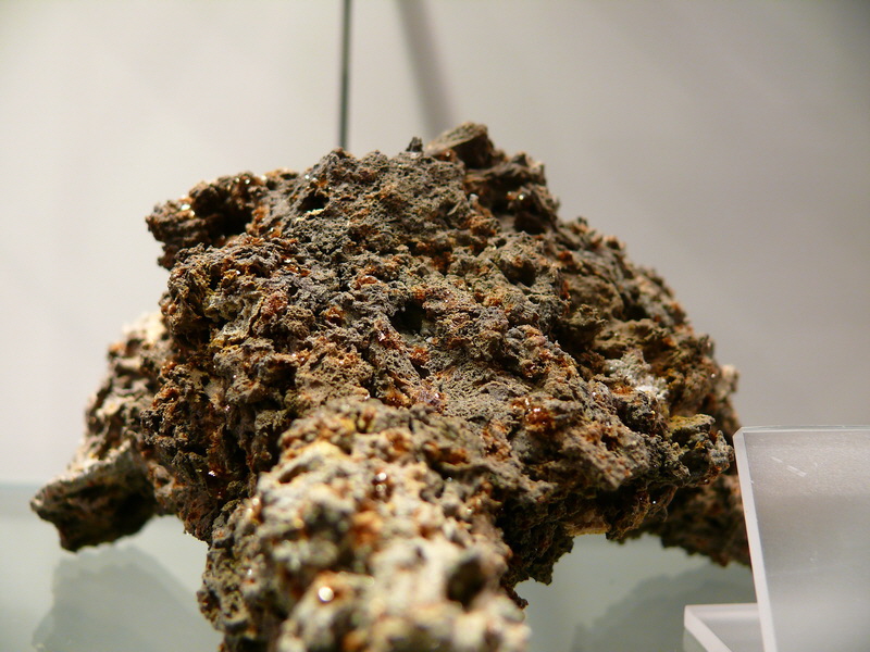 P3220054_Bildgr��e �ndern