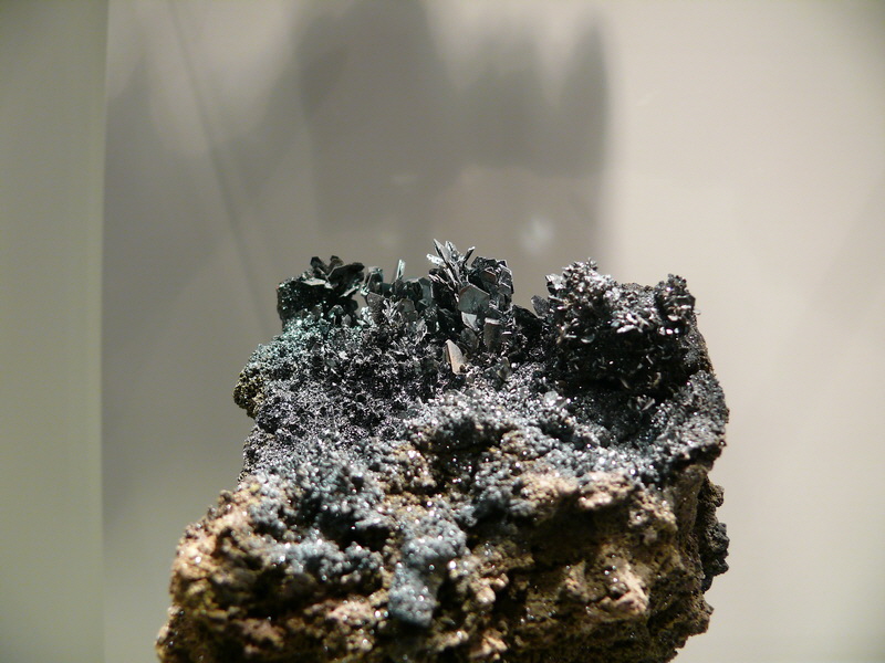 P3220060_Bildgr��e �ndern