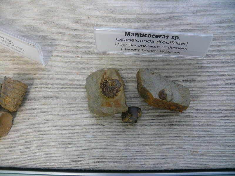 P3220106_Bildgr��e �ndern