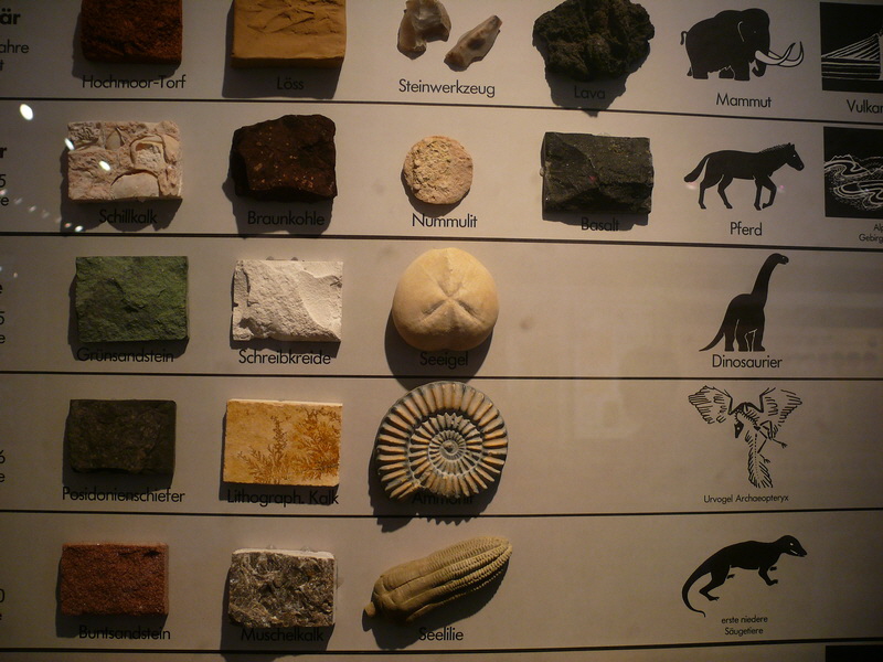 P3220163_Bildgr��e �ndern