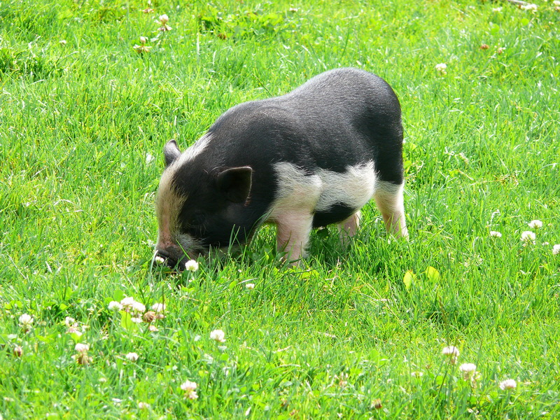 P3220265_Bildgr��e �ndern