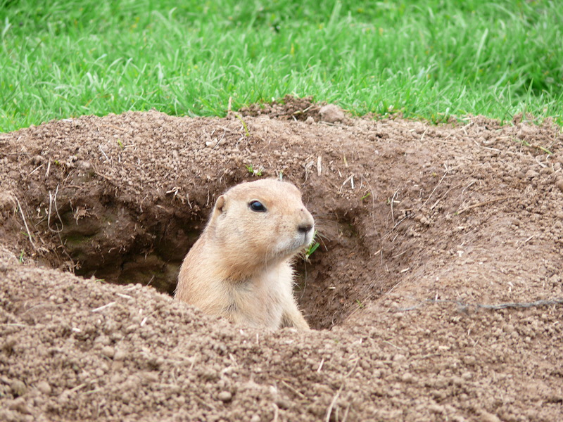 P3220283_Bildgr��e �ndern