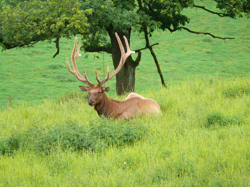 P3220311_Bildgr��e �ndern