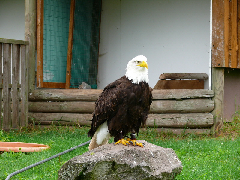 P3220316_Bildgr��e �ndern