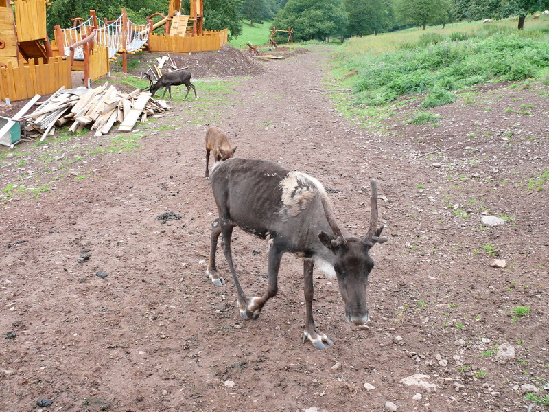 P3220363_Bildgr��e �ndern