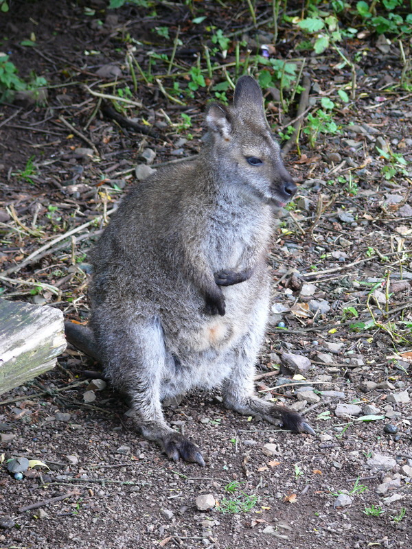 P3220364_Bildgr��e �ndern