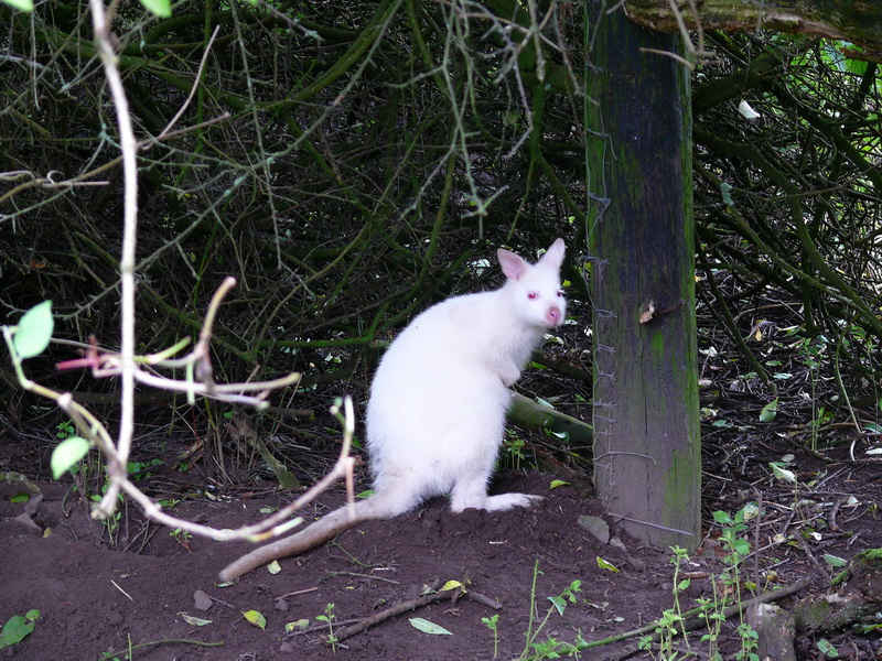 P3220378_Bildgr��e �ndern