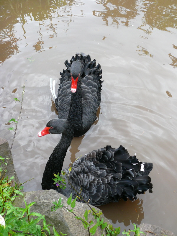 P3220403_Bildgr��e �ndern