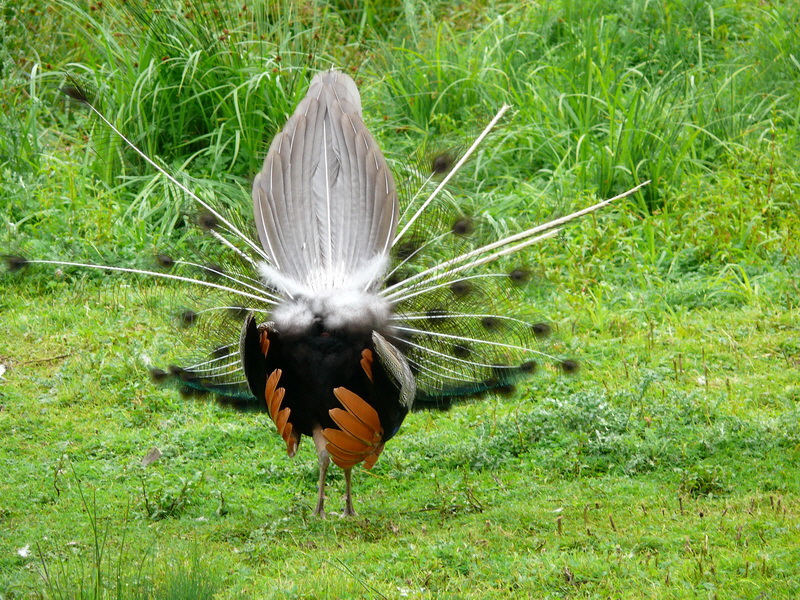 P3220418_Bildgr��e �ndern