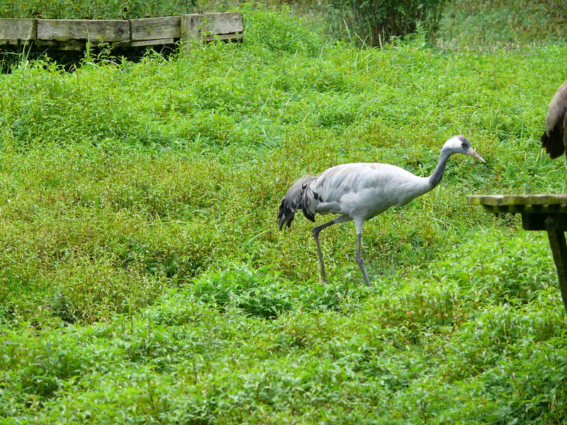 P3220435_Bildgr��e �ndern