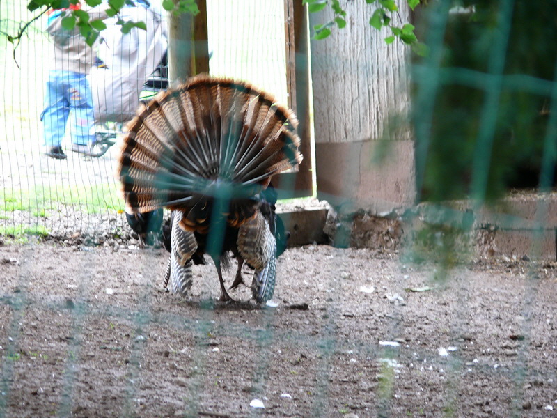 P3220438_Bildgr��e �ndern