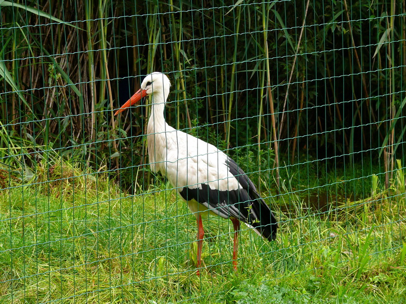 P3220448_Bildgr��e �ndern