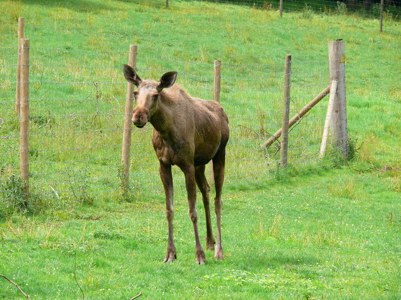 P3220462_Bildgr��e �ndern