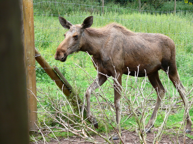 P3220490_Bildgr��e �ndern