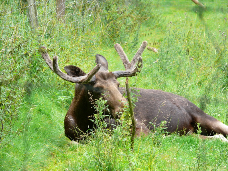 P3220499_Bildgr��e �ndern