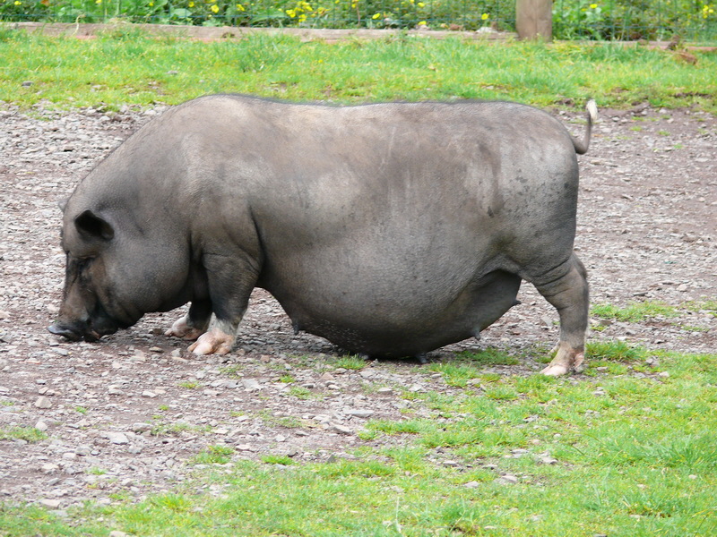 P3220518_Bildgr��e �ndern