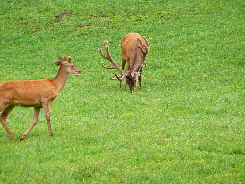 P3220531_Bildgr��e �ndern