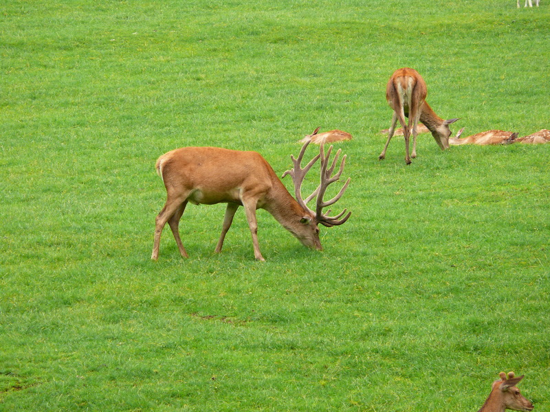 P3220538_Bildgr��e �ndern