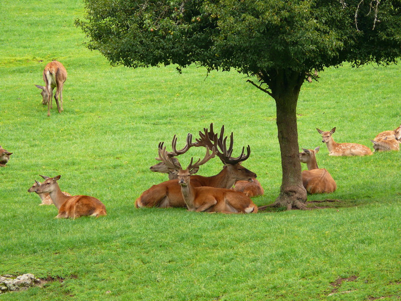 P3220553_Bildgr��e �ndern