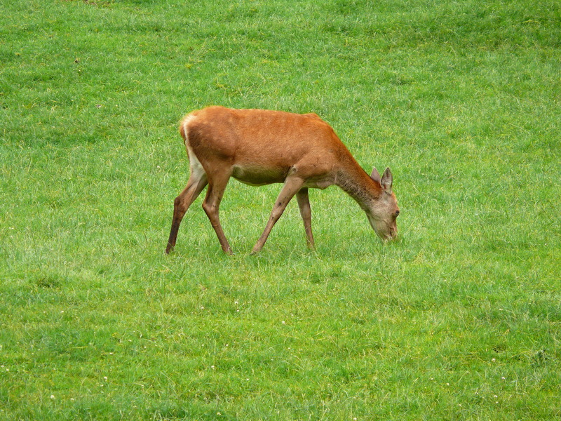 P3220556_Bildgr��e �ndern