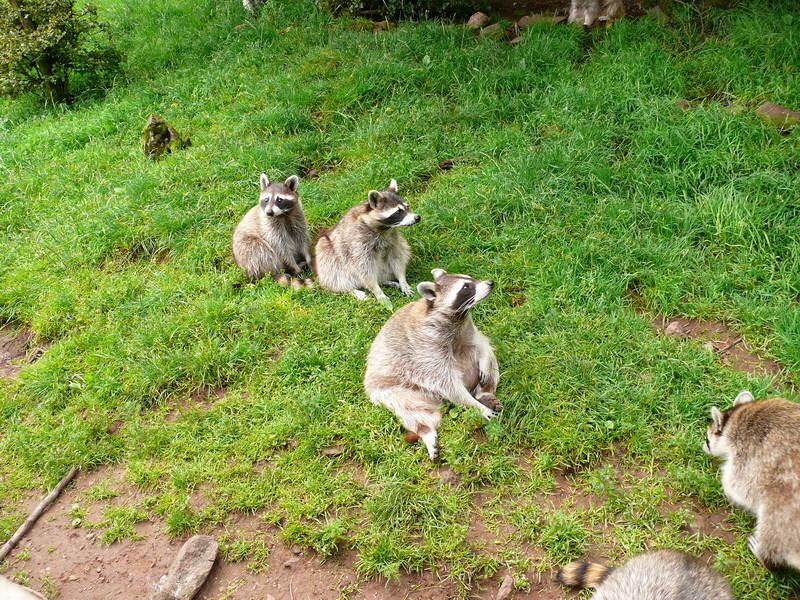 P3220596_Bildgr��e �ndern