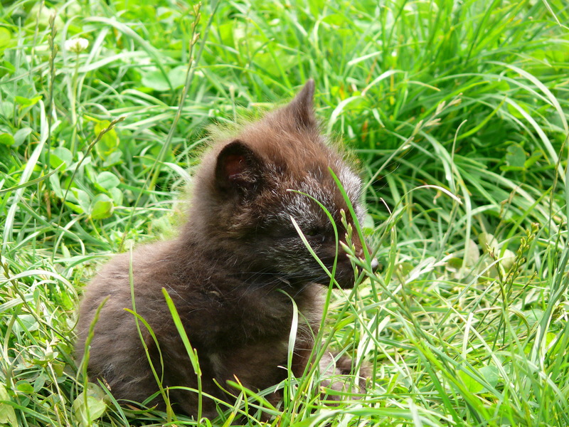 P3220606_Bildgr��e �ndern